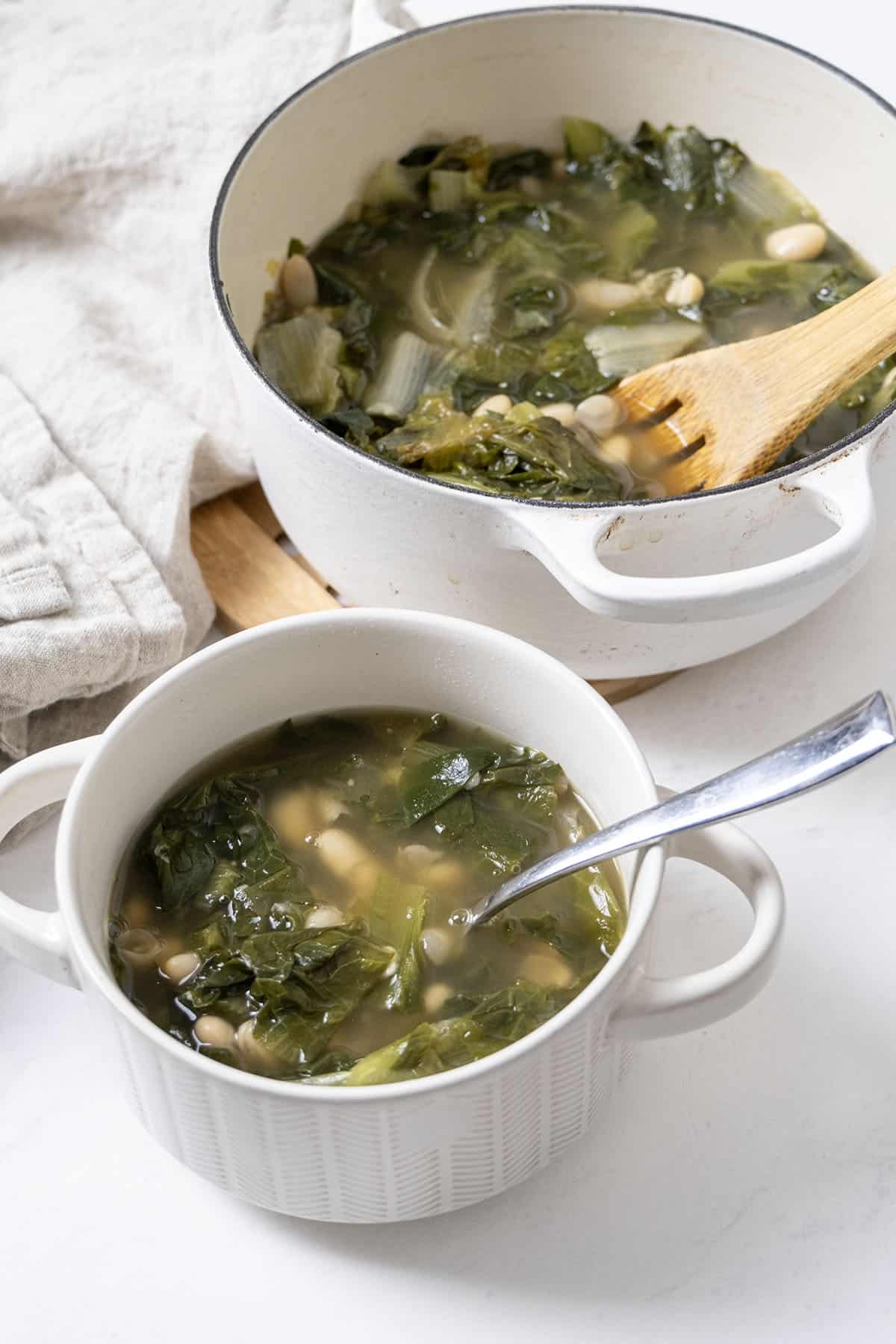 A dutch oven filled with escarole and beans along with a bowl of the same.