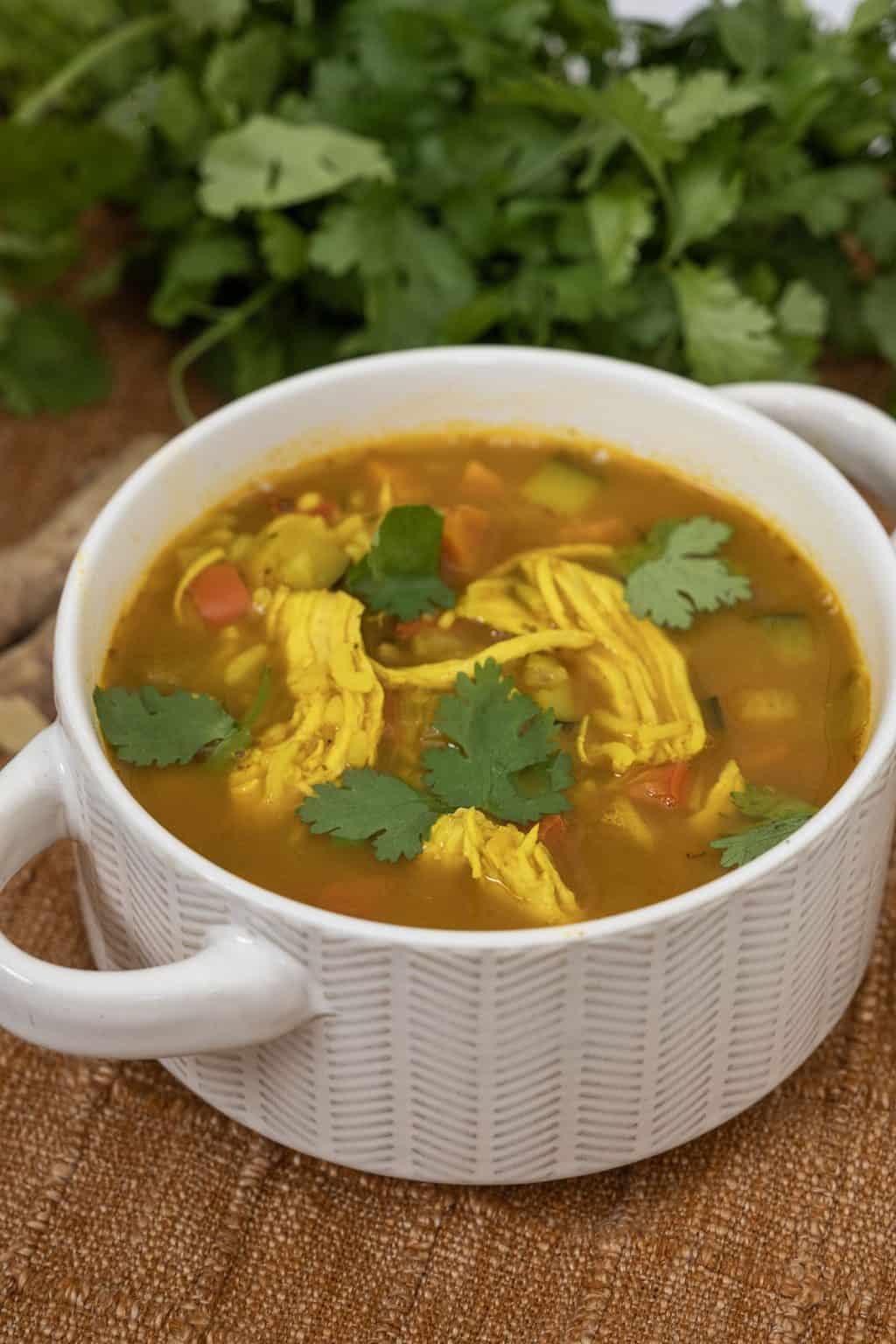 Curry Chicken and Rice Soup - Always From Scratch