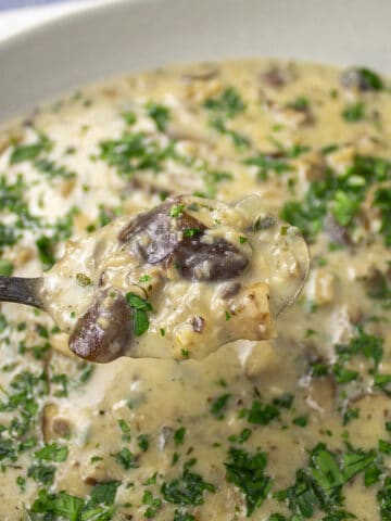 creamy mushroom mascarpone soup on a spoon