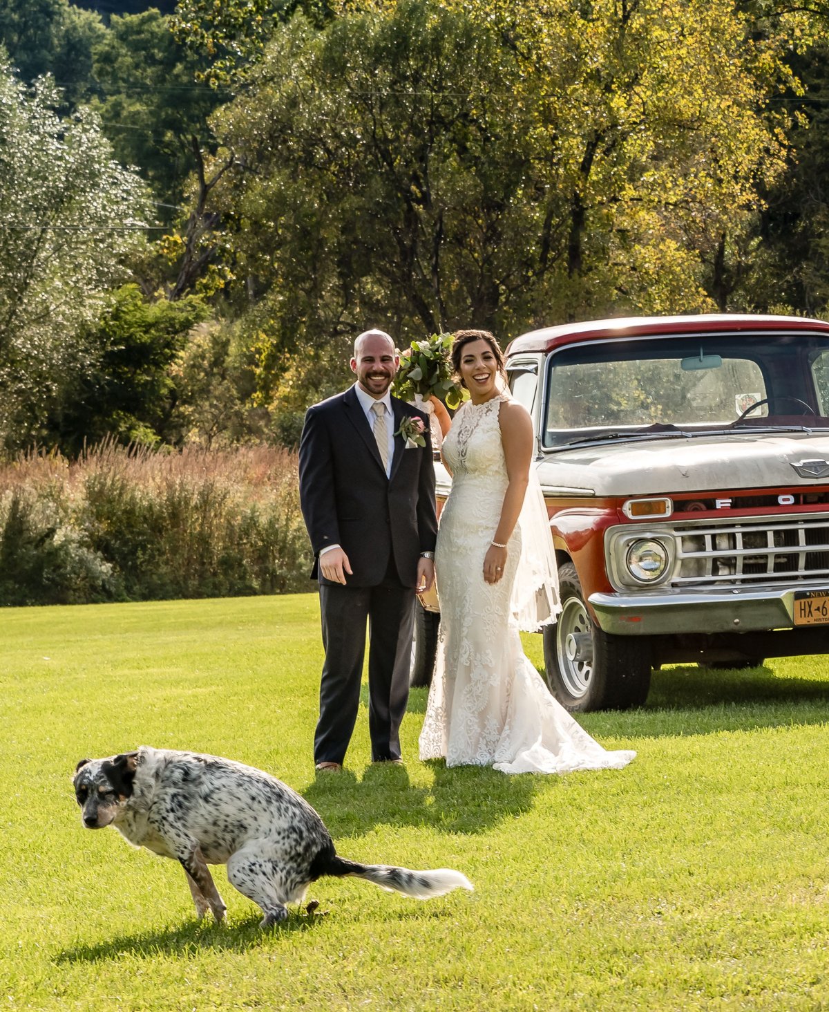 vinny and marisa getting married their dog going number 2 in the forefront of the picture