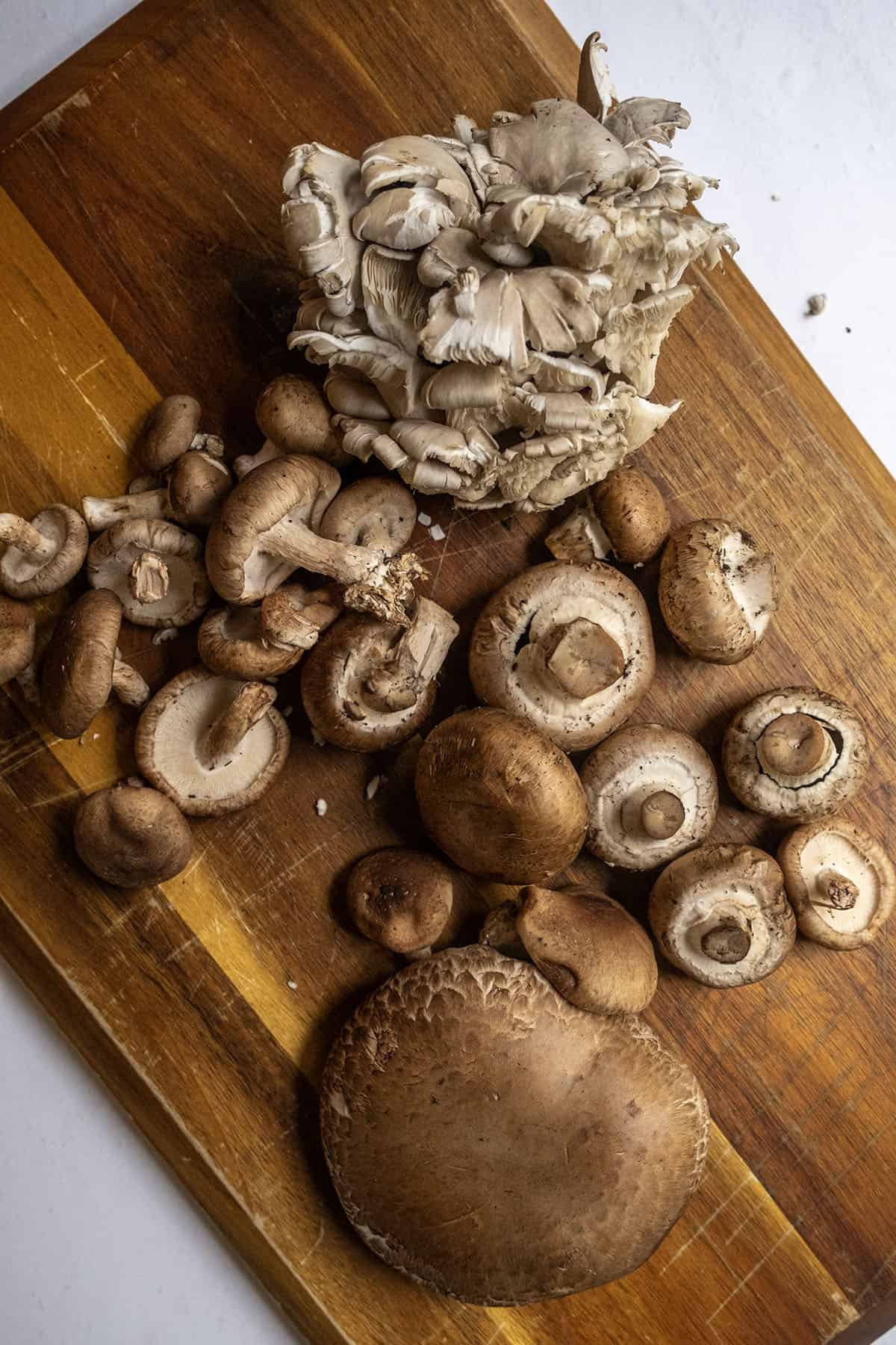baby bella, portobello, shitake and oyster mushrooms