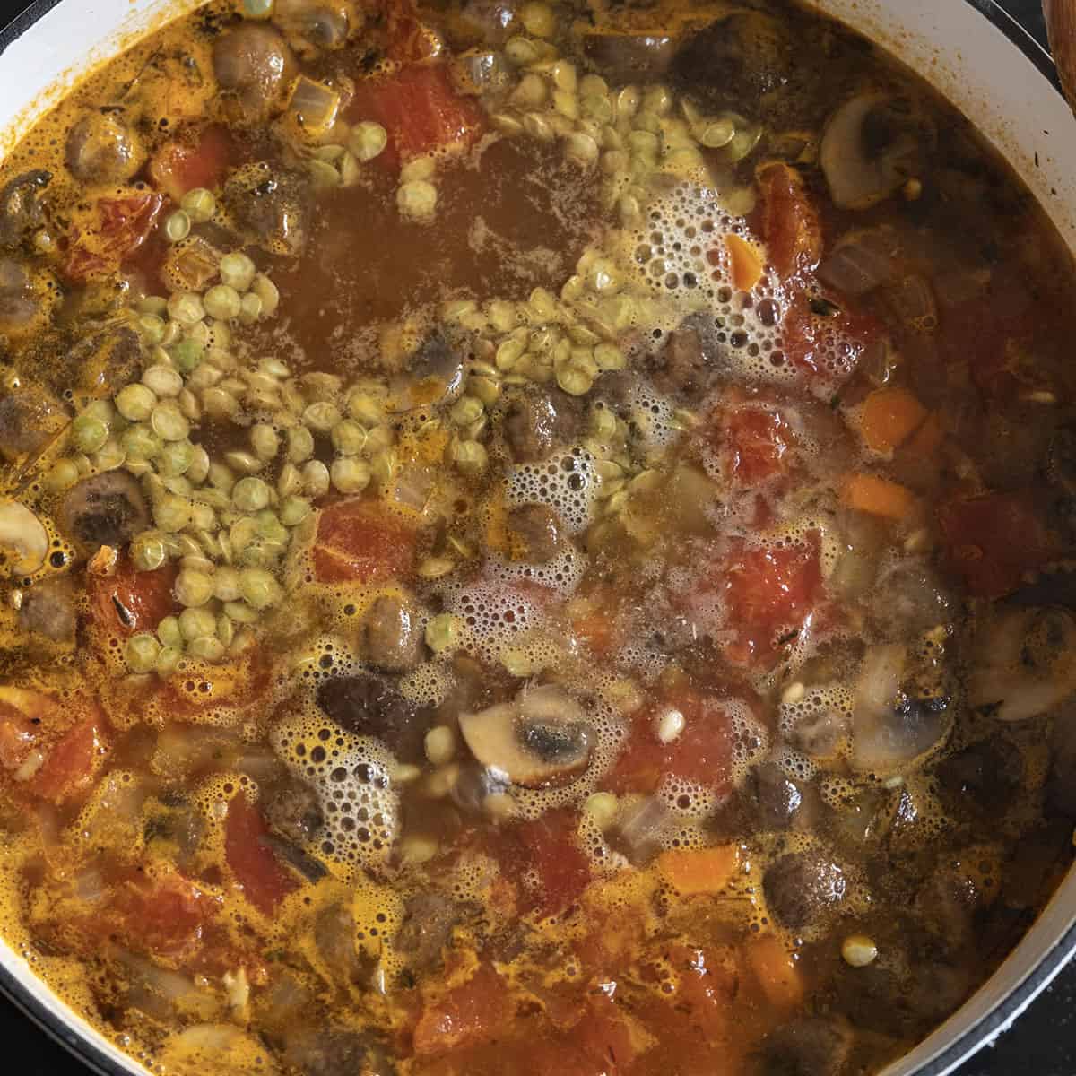 simmering the soup with lentils and barley