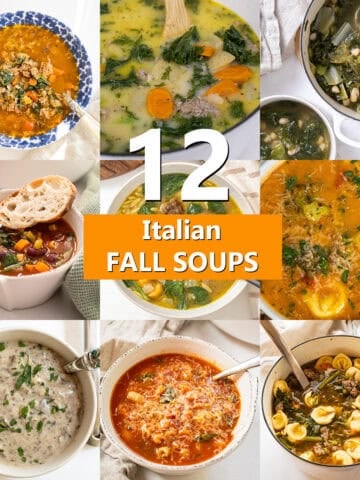 Collage of 12 soups.