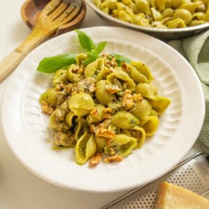 Kale and walnut pesto with shell pasta in a bowl.