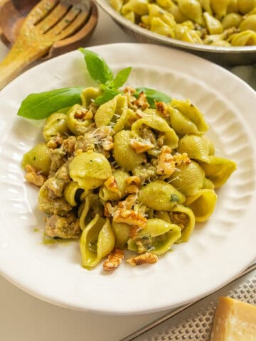 Kale and walnut pesto with shell pasta in a bowl.