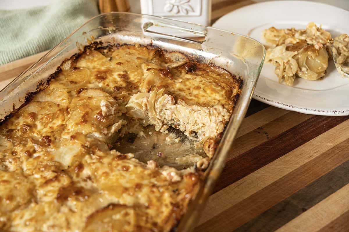 Spoonful of potato and fennel au gratin removed from the dish.