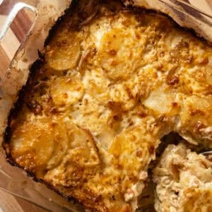 Fennel and potato au gratin, baked until golden brown.
